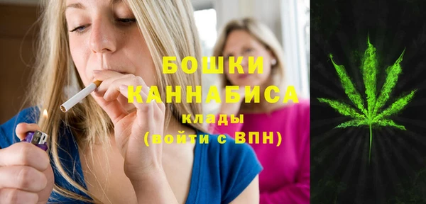 бошки Арсеньев