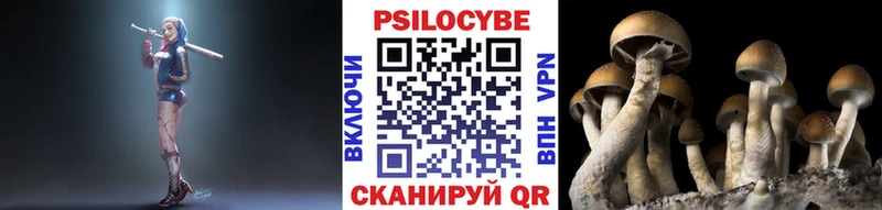 сколько стоит  Сасово  MEGA зеркало  дарк нет клад  Псилоцибиновые грибы Psilocybine cubensis 