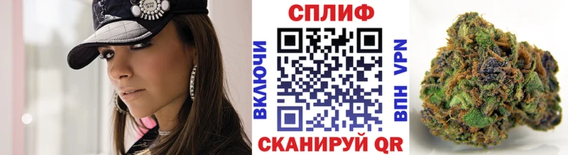 Конопля SATIVA & INDICA Сасово